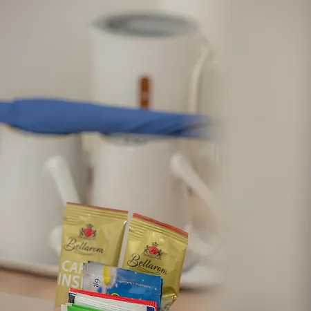 艾菲塔卡米利戴尔高富得利5号露台旅馆 4* 斯培西亚